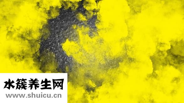 素描菠蘿怎么畫