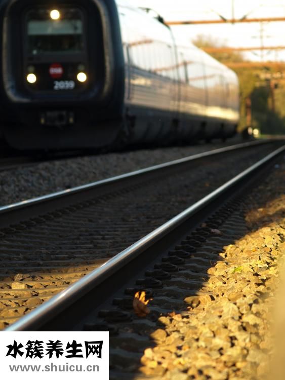 火車錯過了怎么辦