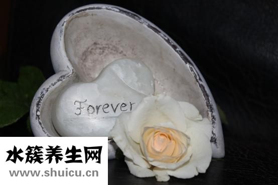 菜心跳甲怎么辦