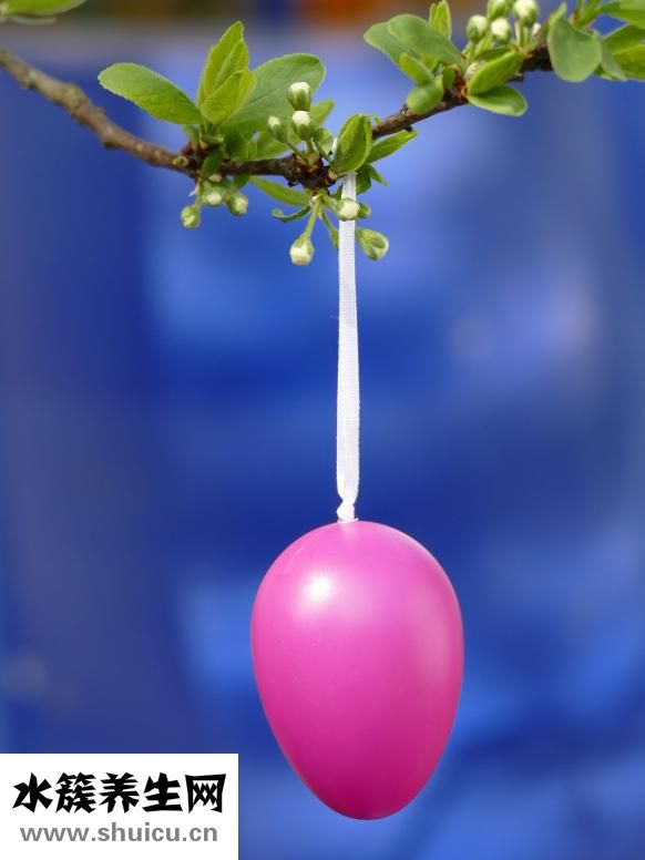 腌好的雞蛋怎么保存