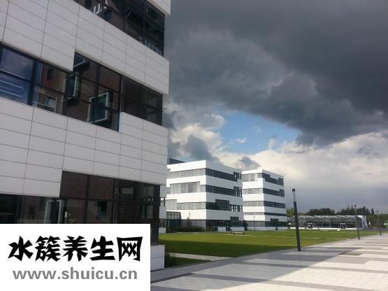 肺癌擴散了怎么辦