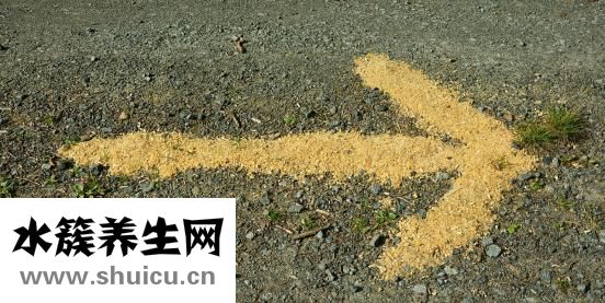 腌好的雞蛋怎么保存