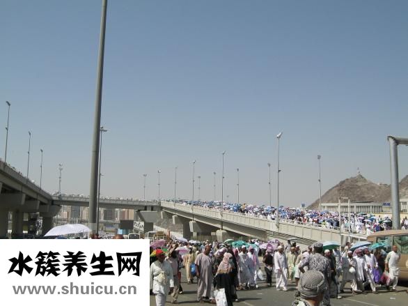 竹炭狗怎么放得穩