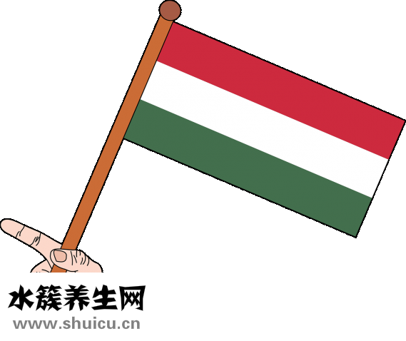 舞廳的女人怎么泡