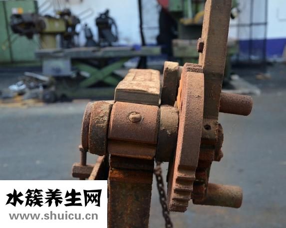 衣服吸灰塵怎么辦