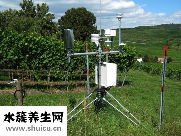 羊毛氈戳針怎么用