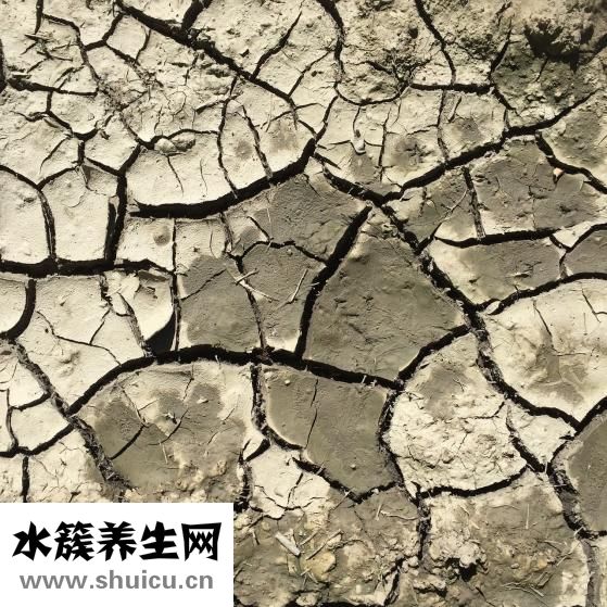 股骨頭裂紋怎么辦