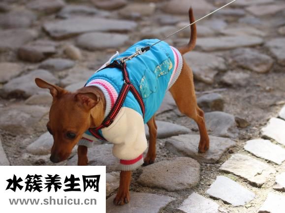 衣服起球怎么去除