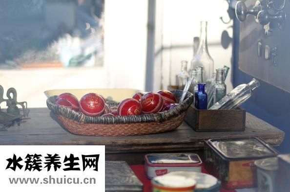 貓吃了跳蚤藥怎么辦