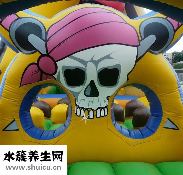 遇到豹子怎么辦