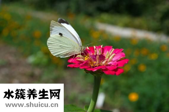 怎么破解行李箱密碼