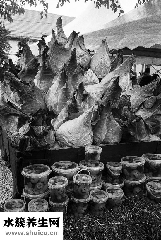 牙膏怎么看成分