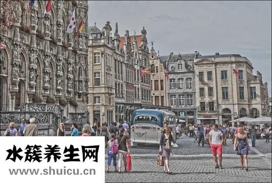 竹炭狗怎么放得穩