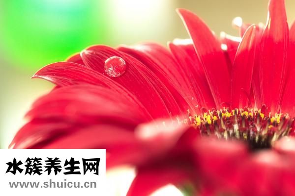 汗水多該怎么治