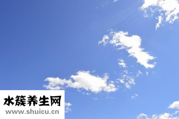 汗水多該怎么治