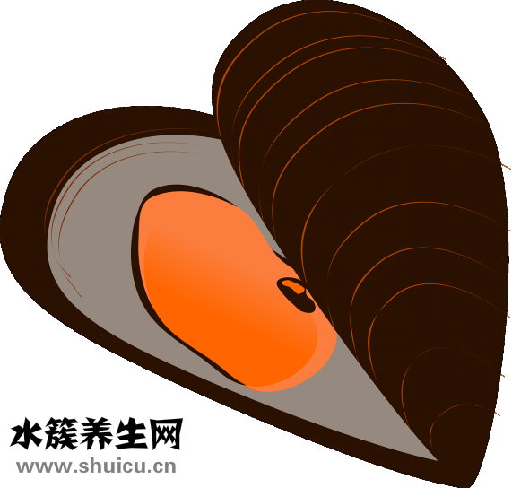 胡子白了怎么回事