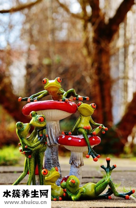 壓縮木耳怎么做