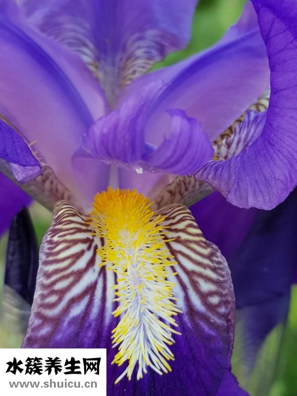 古代女子是怎么美容