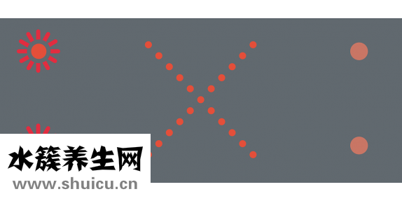 鼻子太短怎么辦