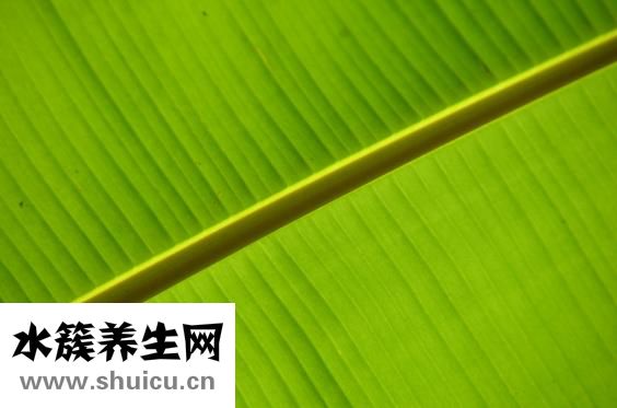 吃完香蕉胃疼怎么辦