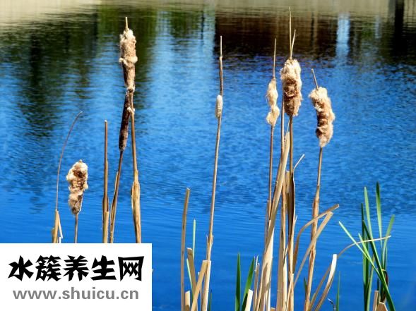 亂環境時應怎么調節