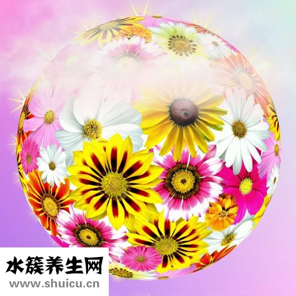 冬蟲草筒骨湯怎么煮