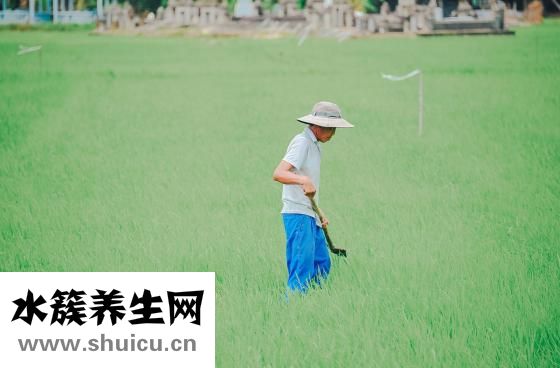 受脅迫殺人怎么判