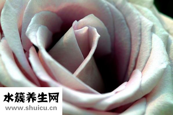 北影化妝系怎么入學