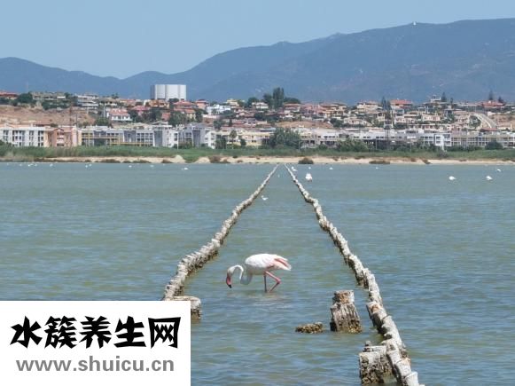 鼻子老打噴嚏怎么辦