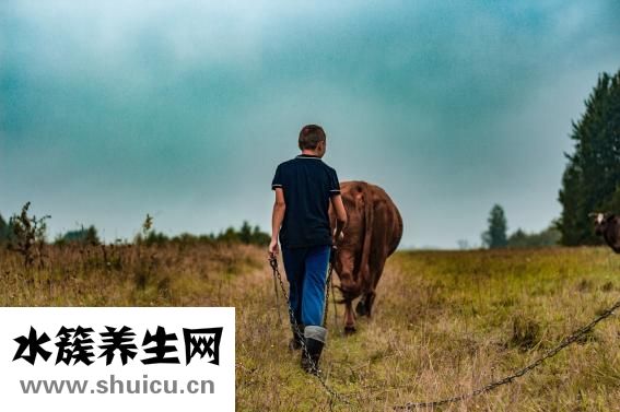 產(chǎn)前病假工資怎么算