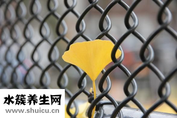 不懂拼音怎么打字