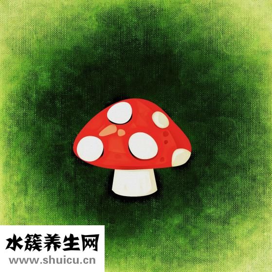 壓縮木耳怎么做