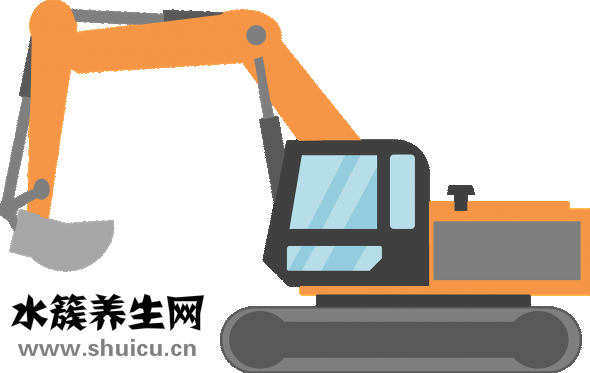 魚(yú)缸水草種子怎么種