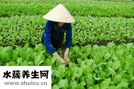 長(zhǎng)期尿分叉怎么治