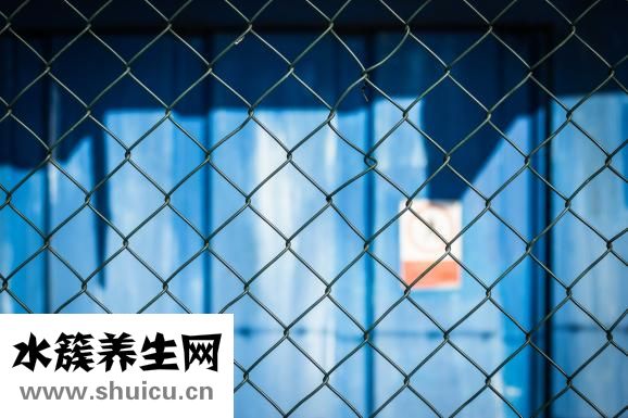 魚缸有水螅怎么處理