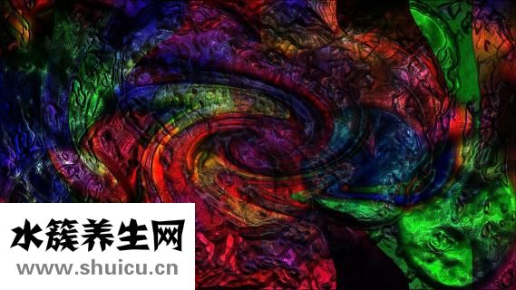 冬蟲草筒骨湯怎么煮