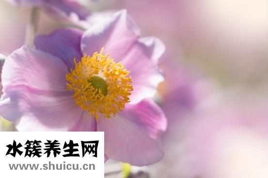 北影化妝系怎么入學