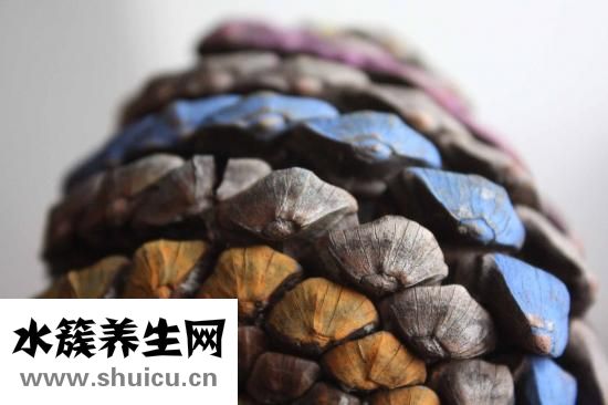 雙頸突過長怎么辦