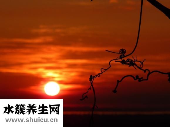 同事脾氣差怎么辦