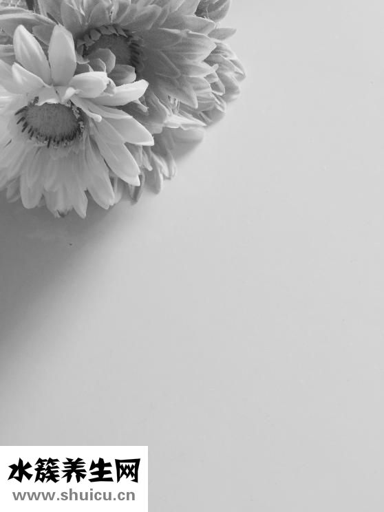 保濕精純霜怎么用