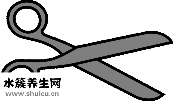 長拉鏈怎么剪短