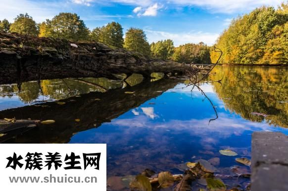 鼻子老打噴嚏怎么辦