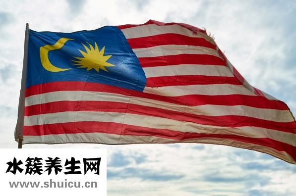 公豬怎么交配才剌激