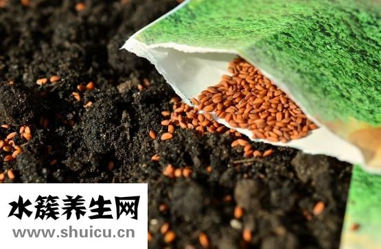 中餐應(yīng)該怎么吃