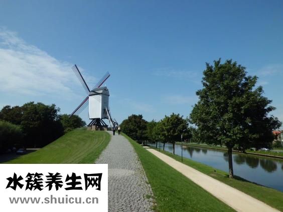 減肥營養不良怎么辦