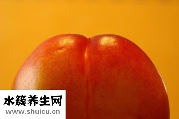 鮮八月瓜苗怎么吃