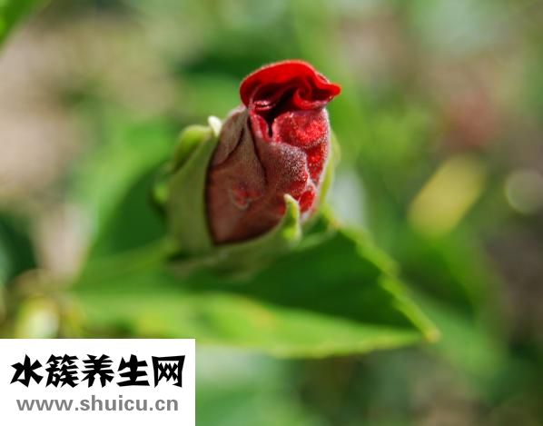 內(nèi)向罵不過(guò)怎么辦