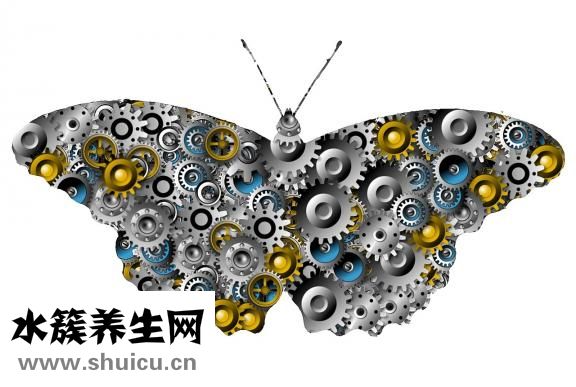 九宮飛怎么運用