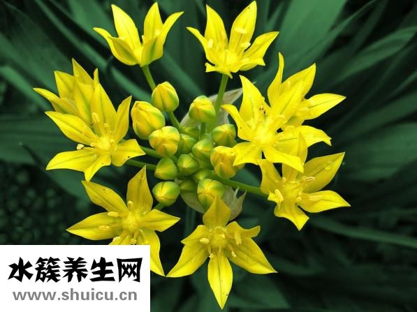 京東假貨怎么辦