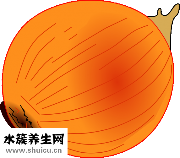 馬不吃草料怎么辦